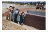 Family Observing a School Construction Site by Anonymous