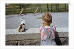 Boy Standing with Kitten in Schoolyard by Anonymous