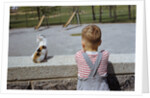 Boy Standing with Kitten in Schoolyard by Anonymous