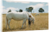 Boy Standing with Horse in a Field by Anonymous