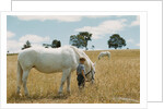 Boy Standing with Horse in a Field by Anonymous