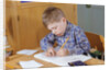 Boy Working on His Schoolwork by Anonymous