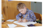 Boy Working on His Schoolwork by Anonymous