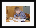 Boy Working on His Schoolwork by Anonymous