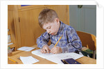 Boy Working on His Schoolwork by Anonymous