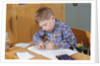 Boy Working on His Schoolwork by Anonymous