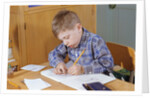 Boy Working on His Schoolwork by Anonymous