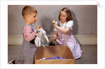 Boy Holding Kitten by Anonymous