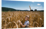 Boy Standing in Field of Wheat by Anonymous