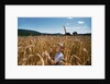 Boy Standing in Field of Wheat by Anonymous