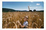 Boy Standing in Field of Wheat by Anonymous