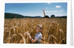 Boy Standing in Field of Wheat by Anonymous