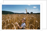 Boy Standing in Field of Wheat by Anonymous