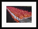 Onion Sacks on Field by Anonymous