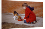Boy Feeding Dog on Sidewalk by Anonymous