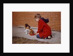 Boy Feeding Dog on Sidewalk by Anonymous