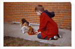 Boy Feeding Dog on Sidewalk by Anonymous
