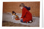 Boy Feeding Dog on Sidewalk by Anonymous