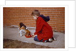 Boy Feeding Dog on Sidewalk by Anonymous