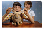 Annoying Brother Playing With His Sister's Pet Rabbit by Anonymous