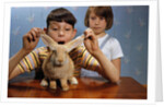 Annoying Brother Playing With His Sister's Pet Rabbit by Anonymous