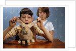 Annoying Brother Playing With His Sister's Pet Rabbit by Anonymous