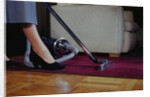 Woman Vacuuming Rug by Anonymous