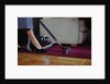 Woman Vacuuming Rug by Anonymous