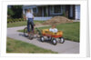 Boy Riding Tricycle and Towing Wagon by Anonymous