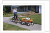 Boy Riding Tricycle and Towing Wagon by Anonymous