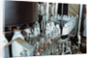 Bottling Milk at a Plant by Corbis