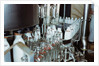 Bottling Milk at a Plant by Corbis