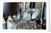 Bottling Milk at a Plant by Corbis