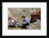 Boy Feeding Cows by Anonymous