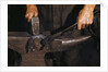 Hammering Horseshoe by Anonymous