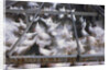 Crates of Chickens by Anonymous