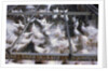 Crates of Chickens by Anonymous