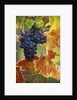 Grapes on a Vine by Anonymous