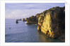Sanstone Cliffs at Praia de Dona Ana Beach in Portugal by Anonymous