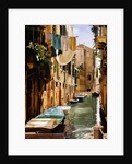 Venice Canal by Reynard Milici