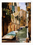 Venice Canal by Reynard Milici