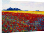 Tulip Field by Gail Wells-Hess