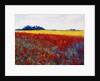 Tulip Field by Gail Wells-Hess
