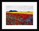 Tulip Field by Gail Wells-Hess