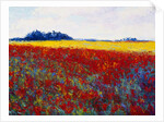 Tulip Field by Gail Wells-Hess
