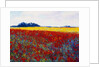 Tulip Field by Gail Wells-Hess
