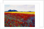 Tulip Field by Gail Wells-Hess