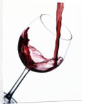 Pouring Red Wine into Wine Glass by Anonymous