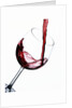 Pouring Red Wine into Wine Glass by Anonymous
