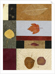 Essential Nature Block 3A by Phillip Jaeger